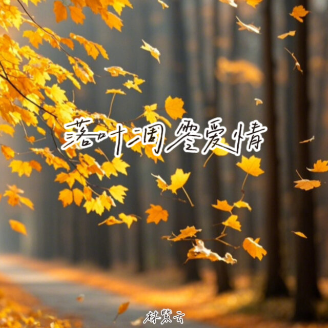 落叶凋零爱情