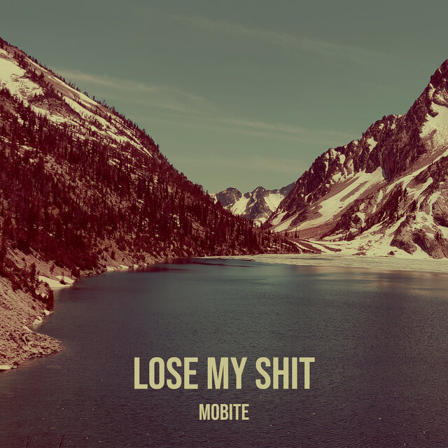 Lose My Shit