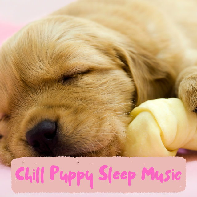Restful Piano Puppy Sleep Music