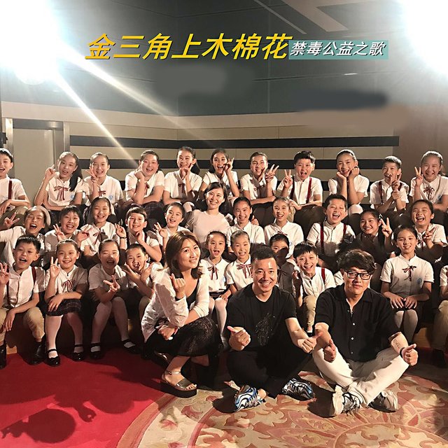 金三角上木棉花