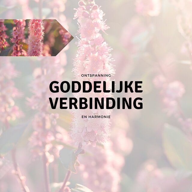 Goddelijke Verbinding