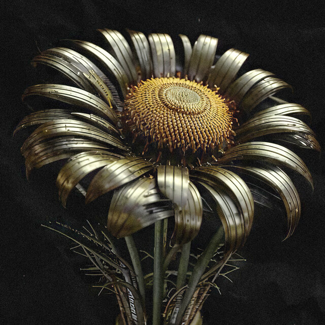 DAISIES
