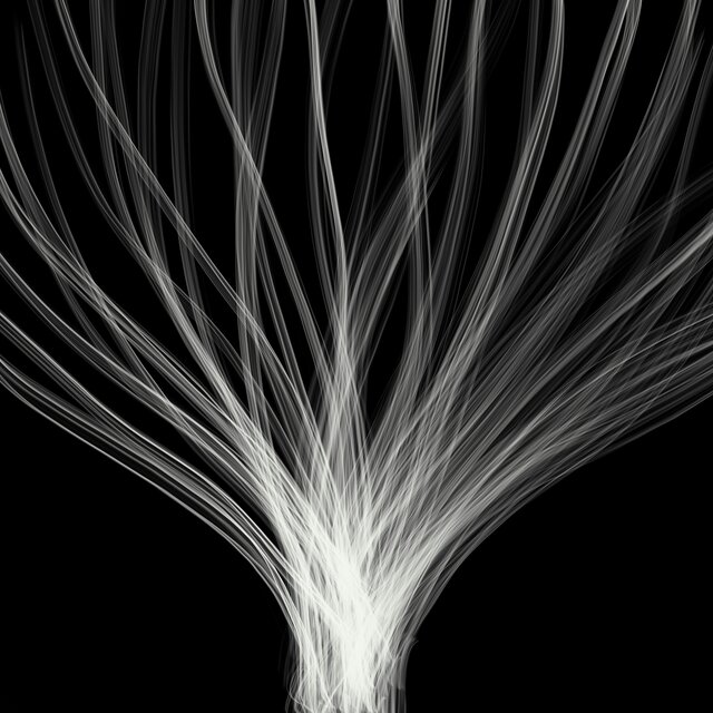 Paths