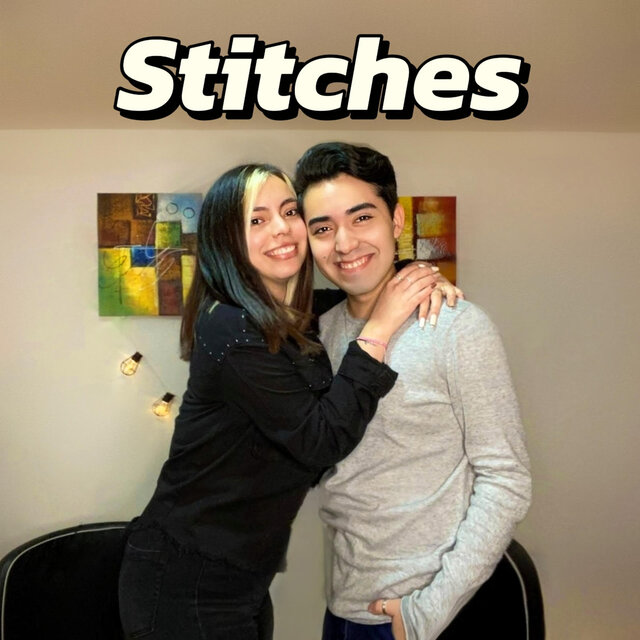 Stitches