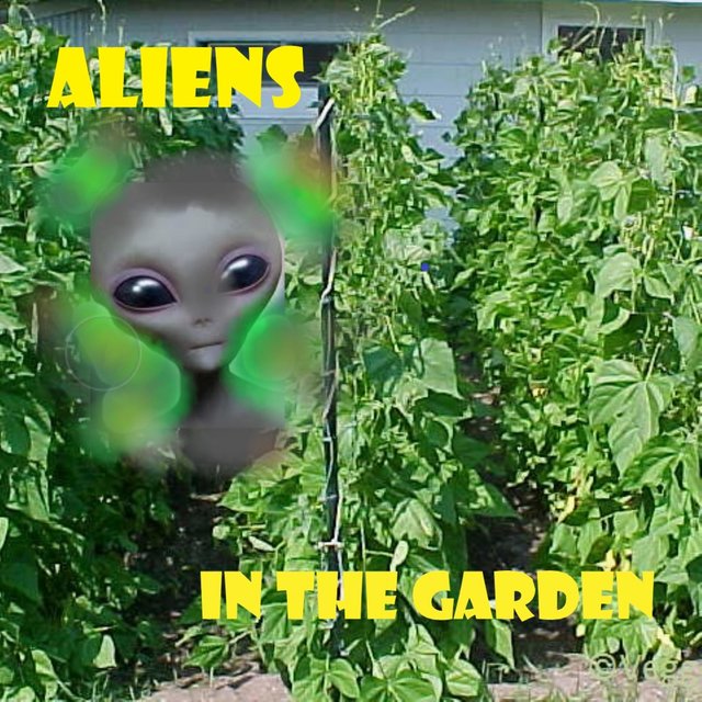 Aliens in the Garden