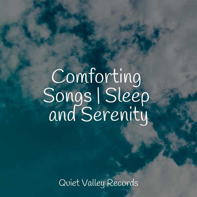 Comforting Songs | Sleep and Serenity
