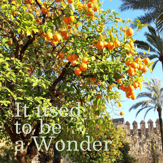It used to be a wonder