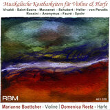 Violin Sonata No. 1 in C Minor, WoO 23: II. Andante - Allegro