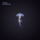 Cover art for album Mycelium Days by Yobrepus