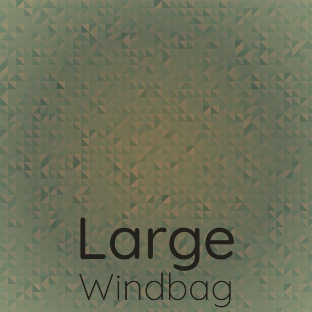 Large Windbag