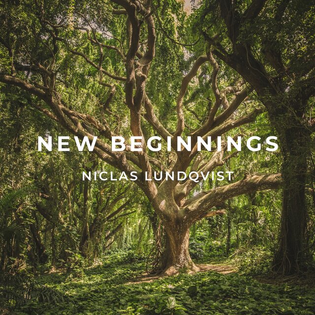 New Beginnings
