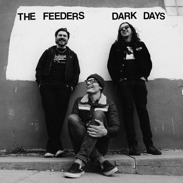 Cover art for album Dark Days by The Feeders