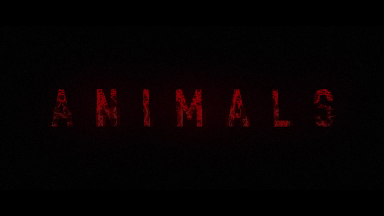Animals