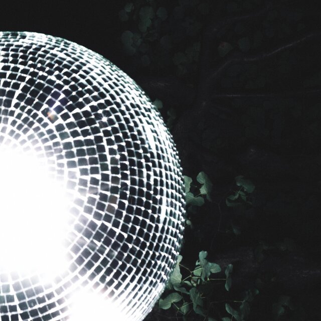 Disco All Night