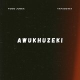 Awukhuzeki (feat. Todd Junea)