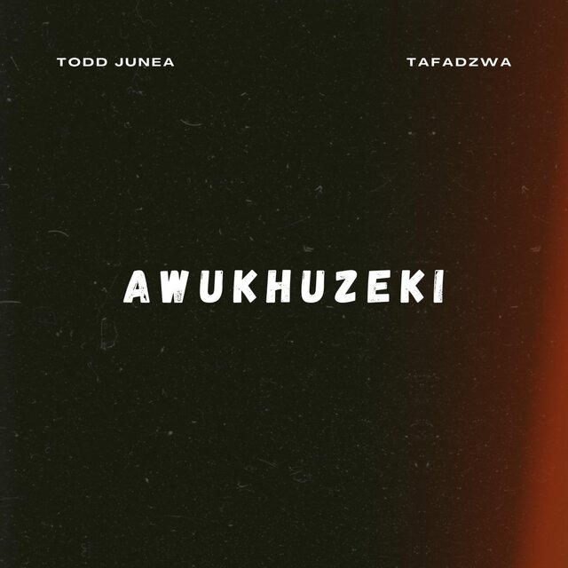 Awukhuzeki (feat. Todd Junea)