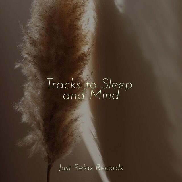 Tracks to Sleep and Mind