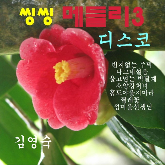 씽씽메들리 3 - 디스코