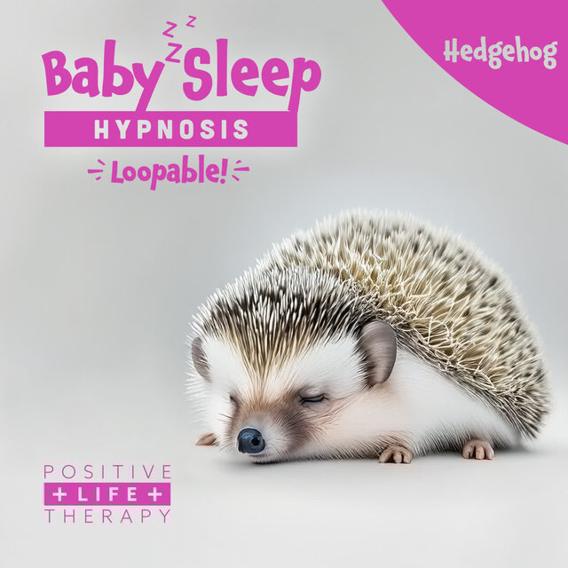 Baby Sleep Hypnosis Hedgehog (Loopable) 