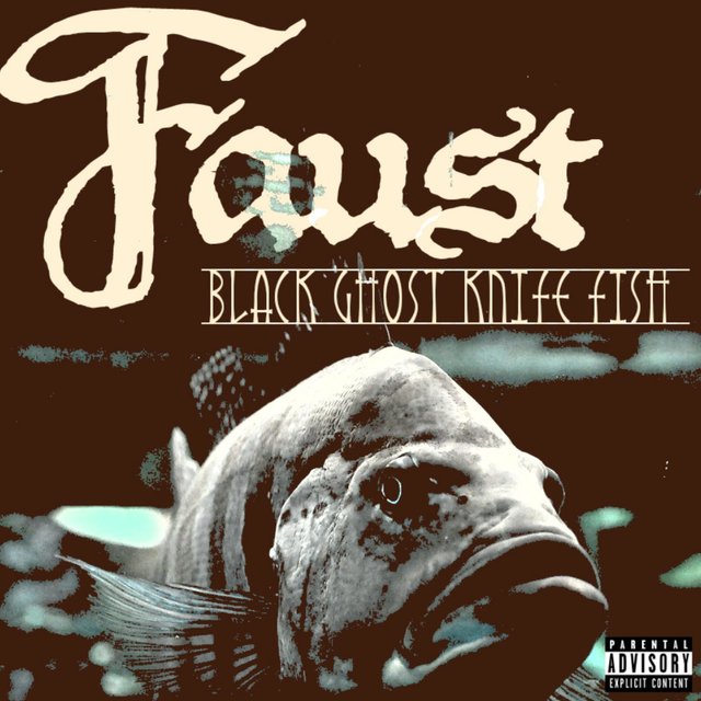 Black Ghost Knife Fish
