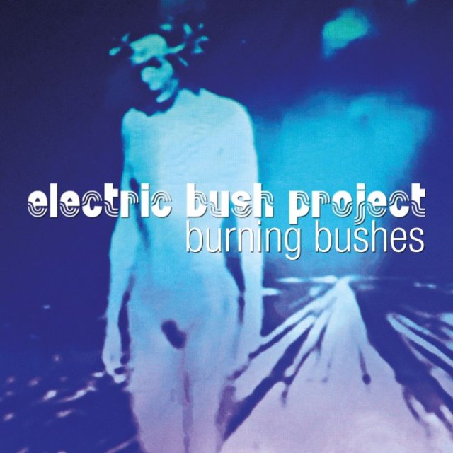 Burning Bushes