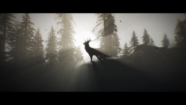 Harvest (Official Lyric Video)