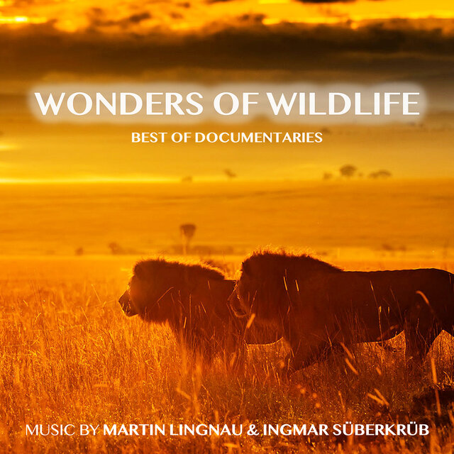 Wonders of Wildlife - Best of Documentaries