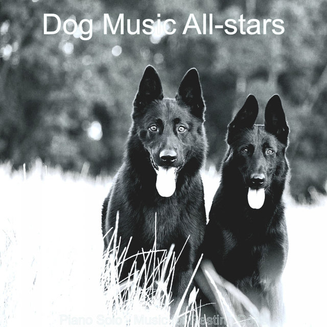 Piano Solo - Music for Resting Dogs
