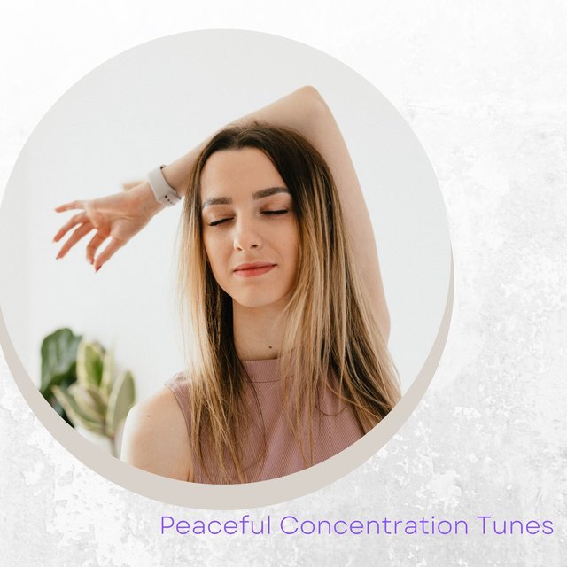 Peaceful Concentration Tunes