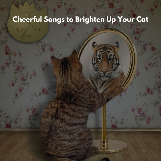 Cheerful Songs to Brighten Up Your Cat