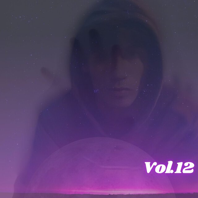 CANCIONES A MI ESTILO, Vol. 12