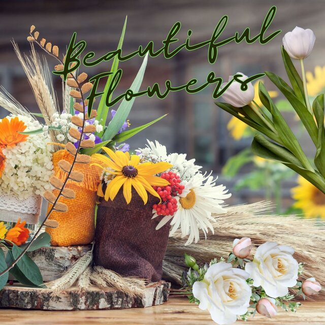 Beautiful Flowers