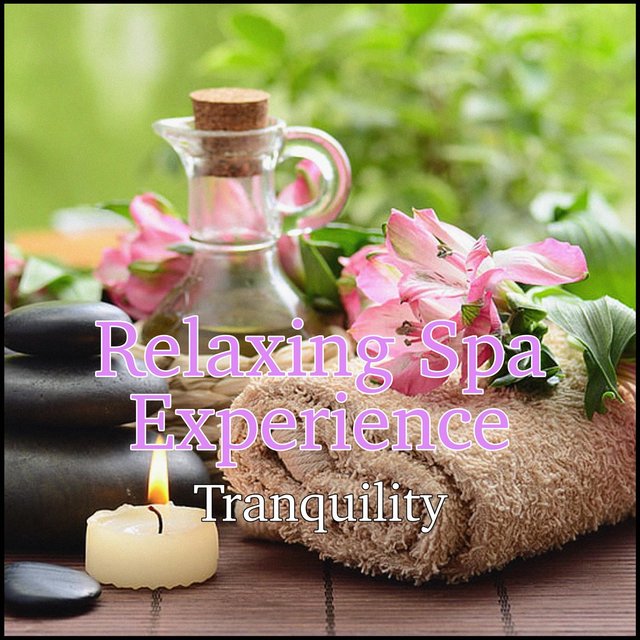 Relaxing Spa Experience