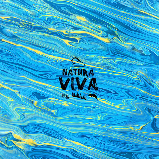 Viva 2022.2