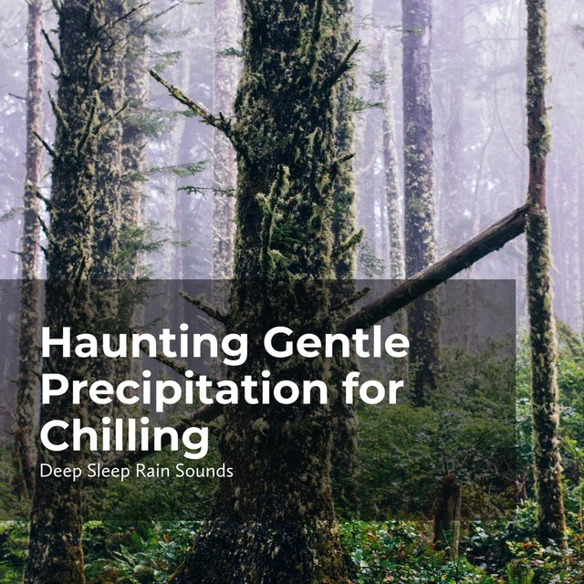 Haunting Gentle Precipitation for Chilling