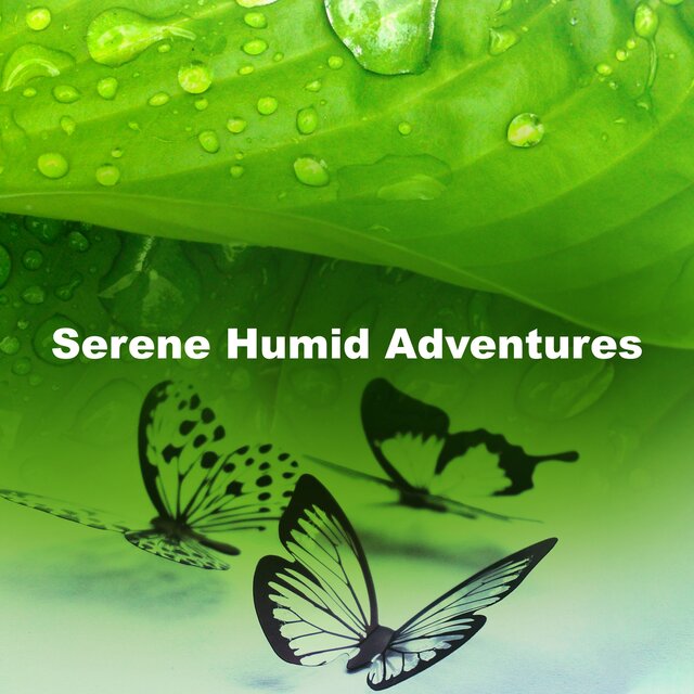 Serene Humid Adventures