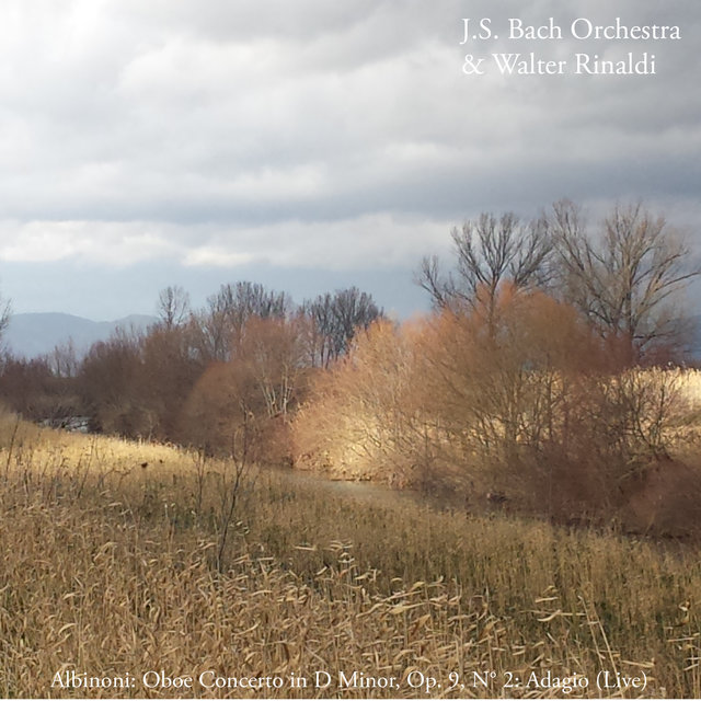 Albinoni - Oboe Concerto in D Minor, Op. 9, No. 2: Adagio (Live at San Martino ai Monti, Rome, 2018) (2018 Remaster)