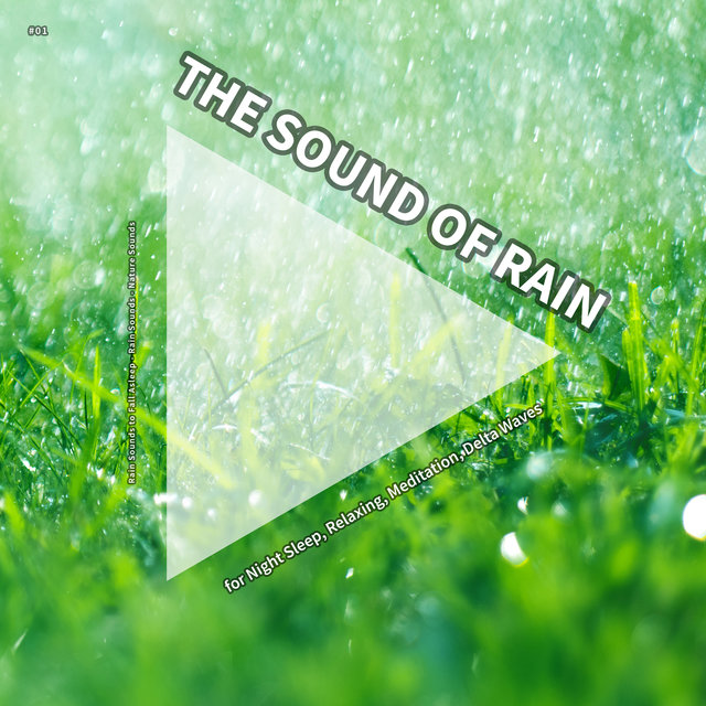 #01 The Sound of Rain for Night Sleep, Relaxing, Meditation, Delta Waves