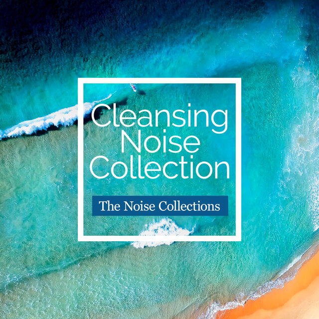Cleansing Noise Collection