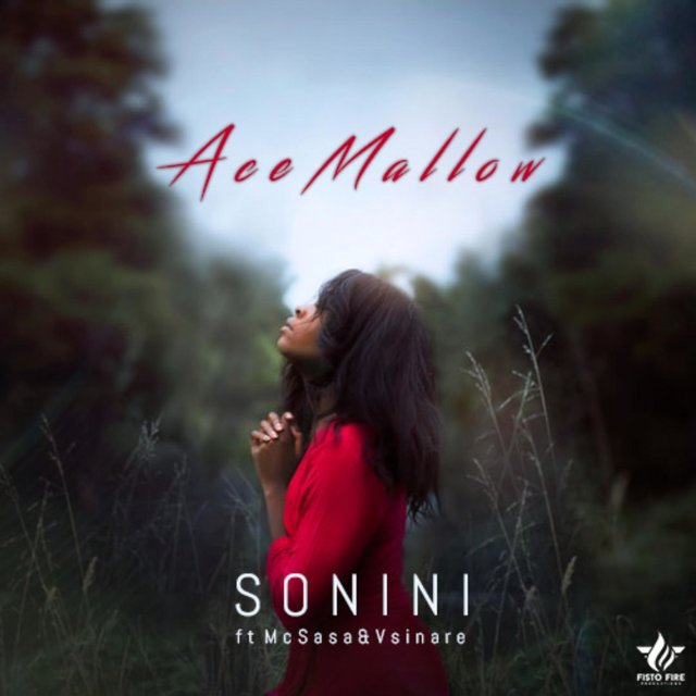 Sonini (feat. Mc Sasa and Vsinare)