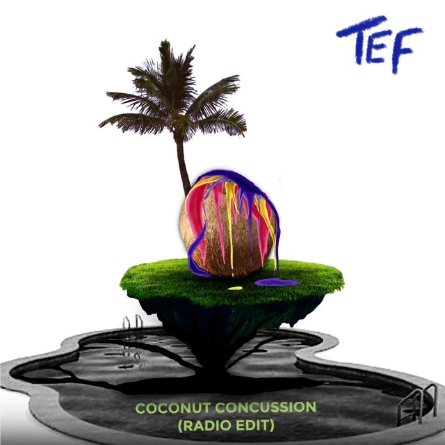 Coconut Concussion (Radio Edit)