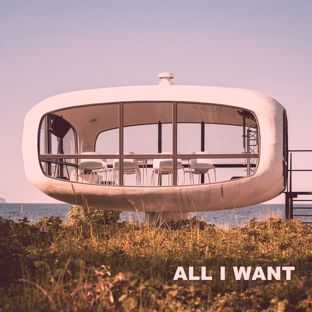 All I Want