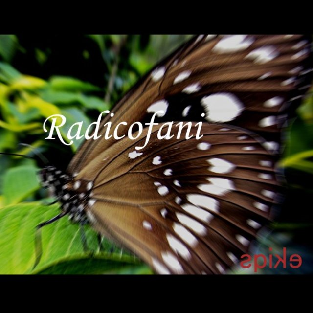 Radicofani