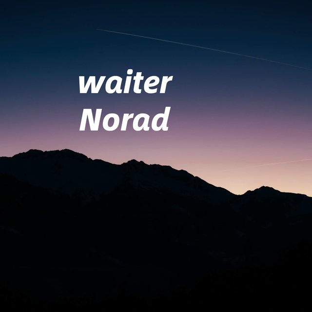 waiter