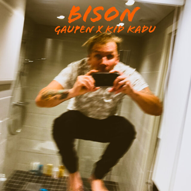 Bison