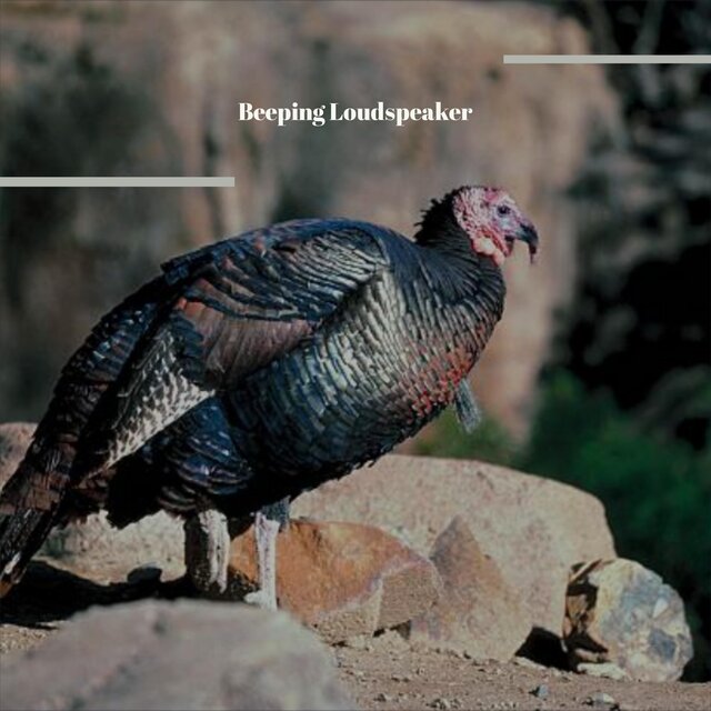 Beeping Loudspeaker