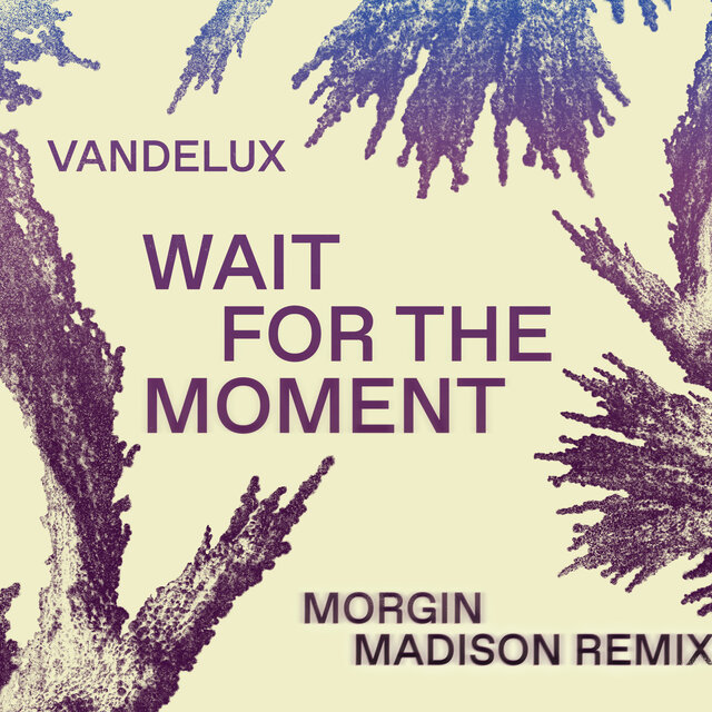 Wait For The Moment (Morgin Madison Remix)