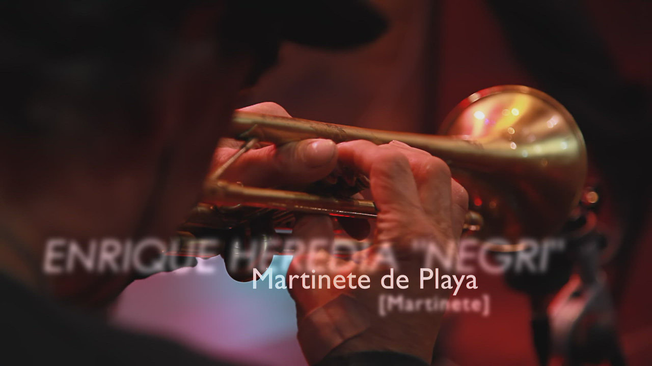 Martinete de Playa