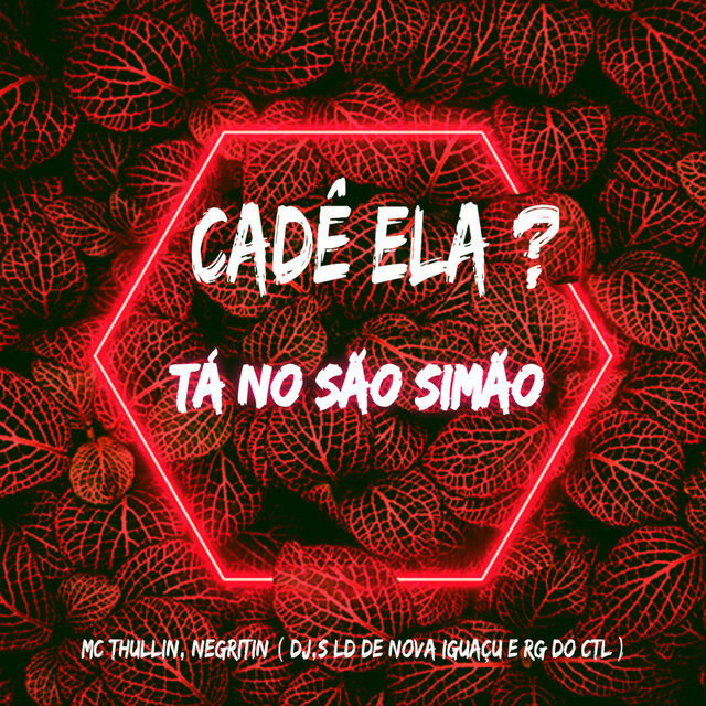 = CADÊ ELA, TÁ NO SÃO SIMÃO DANDO PROS CRIA DE NOV