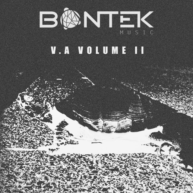 Bontek  V. A II